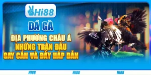 Đá gà địa phương châu Á: Những trận đấu gay cấn và đầy hấp dẫn
